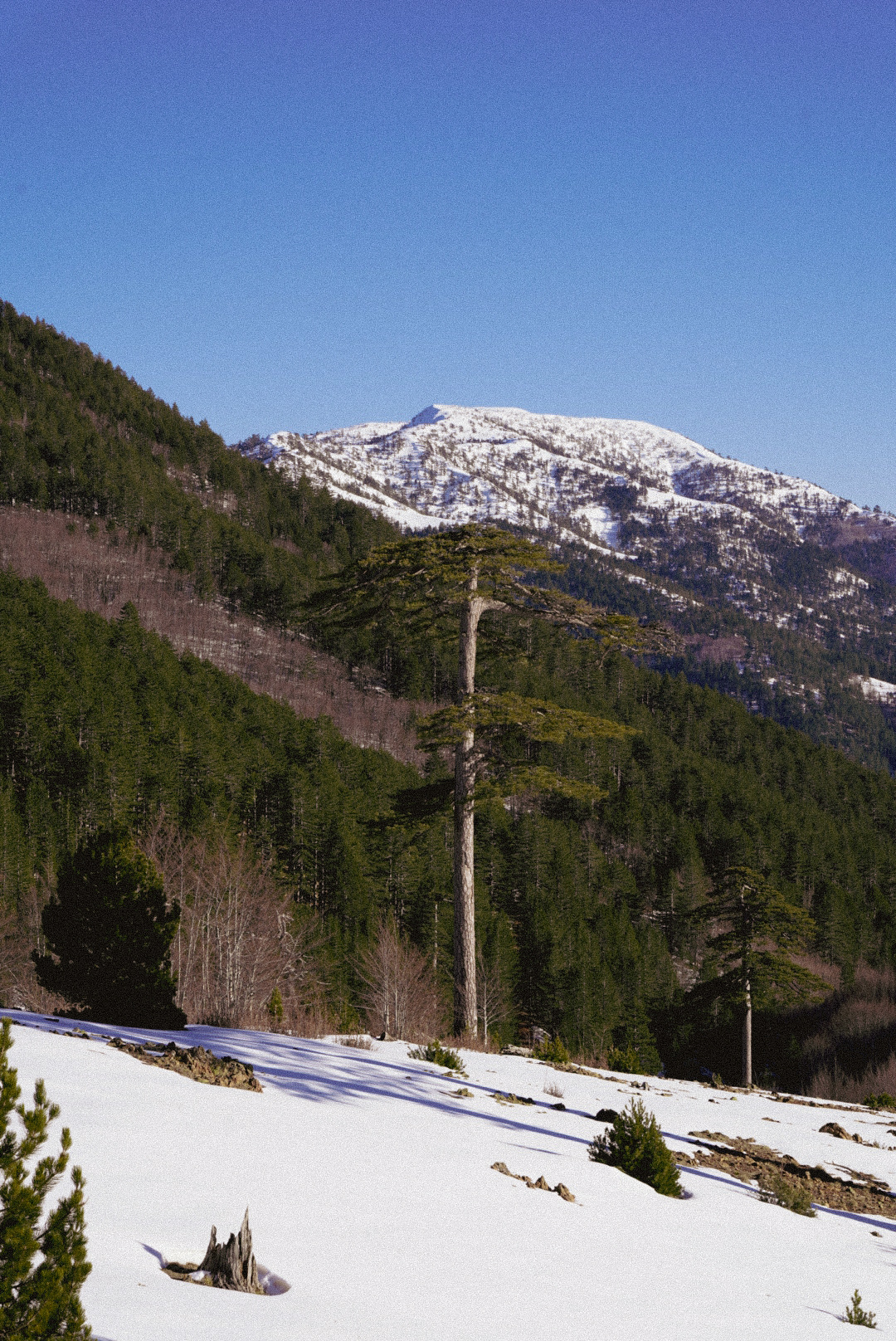 Vue vers les vallees, pinde — périvoli et vasilitsa, lors d’une itinérance à ski en Grèce.